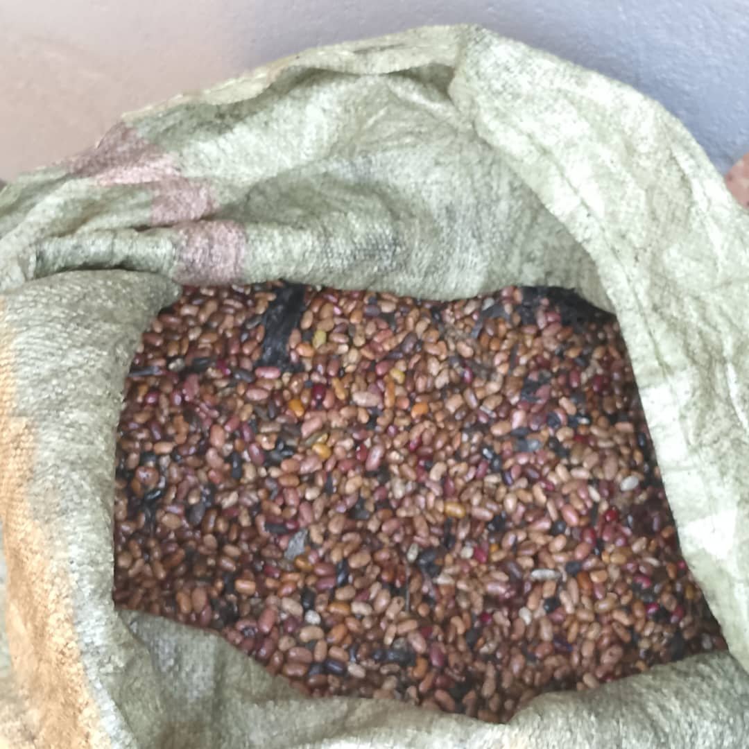 Man in Lira City Accused of Lacing Beans With Used Engine Oil